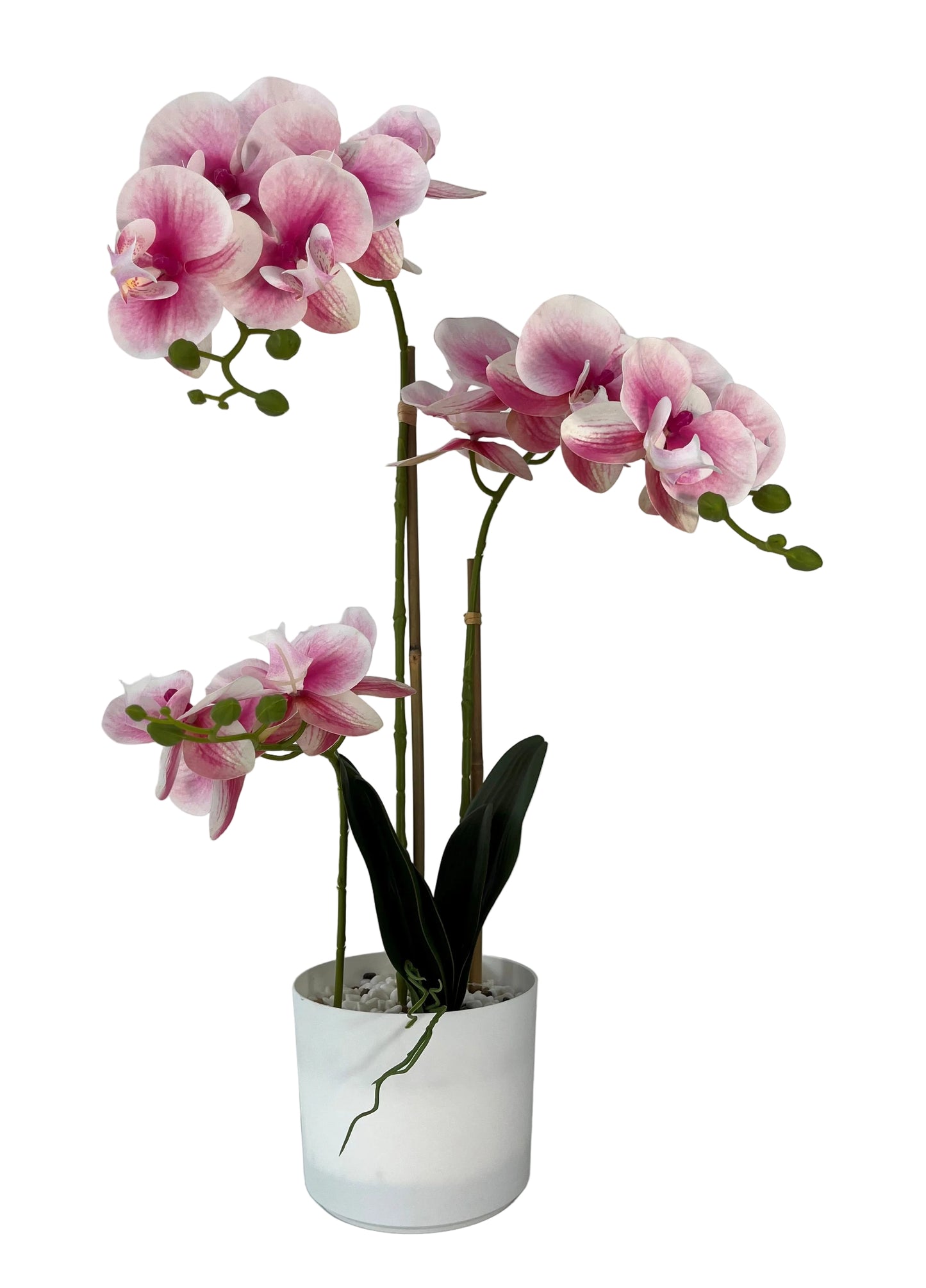 85625-PK | 32" | ORCHID IN POT | PINK