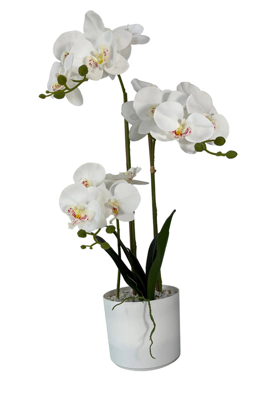 85625-WT | 32" | ORCHID IN POT | WHITE