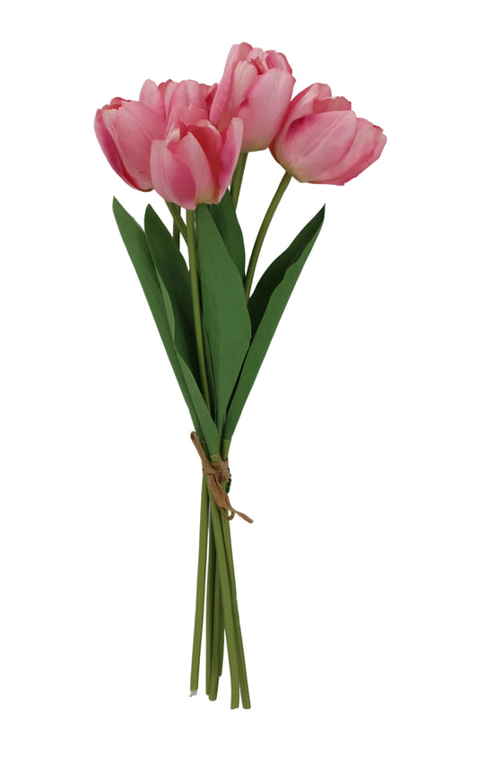 85640-LT.PK | 19" | TULIP BUNDLE X6 | LT. PINK