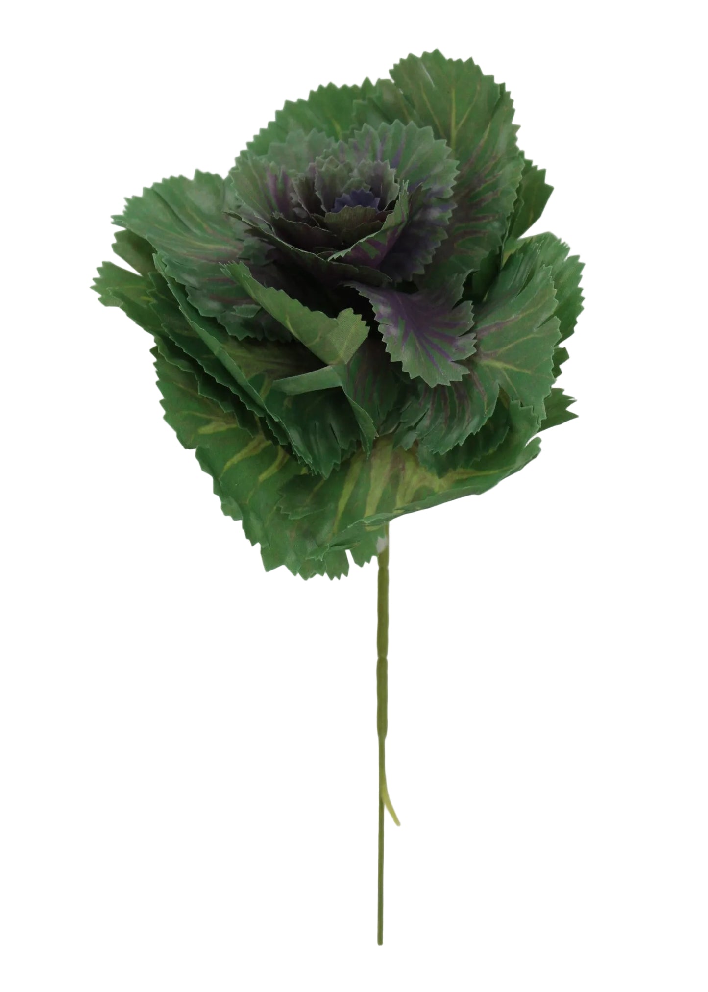 85663-GN | 9" |  CABBAGE PICK | GREEN - A&B Wholesale Market Inc