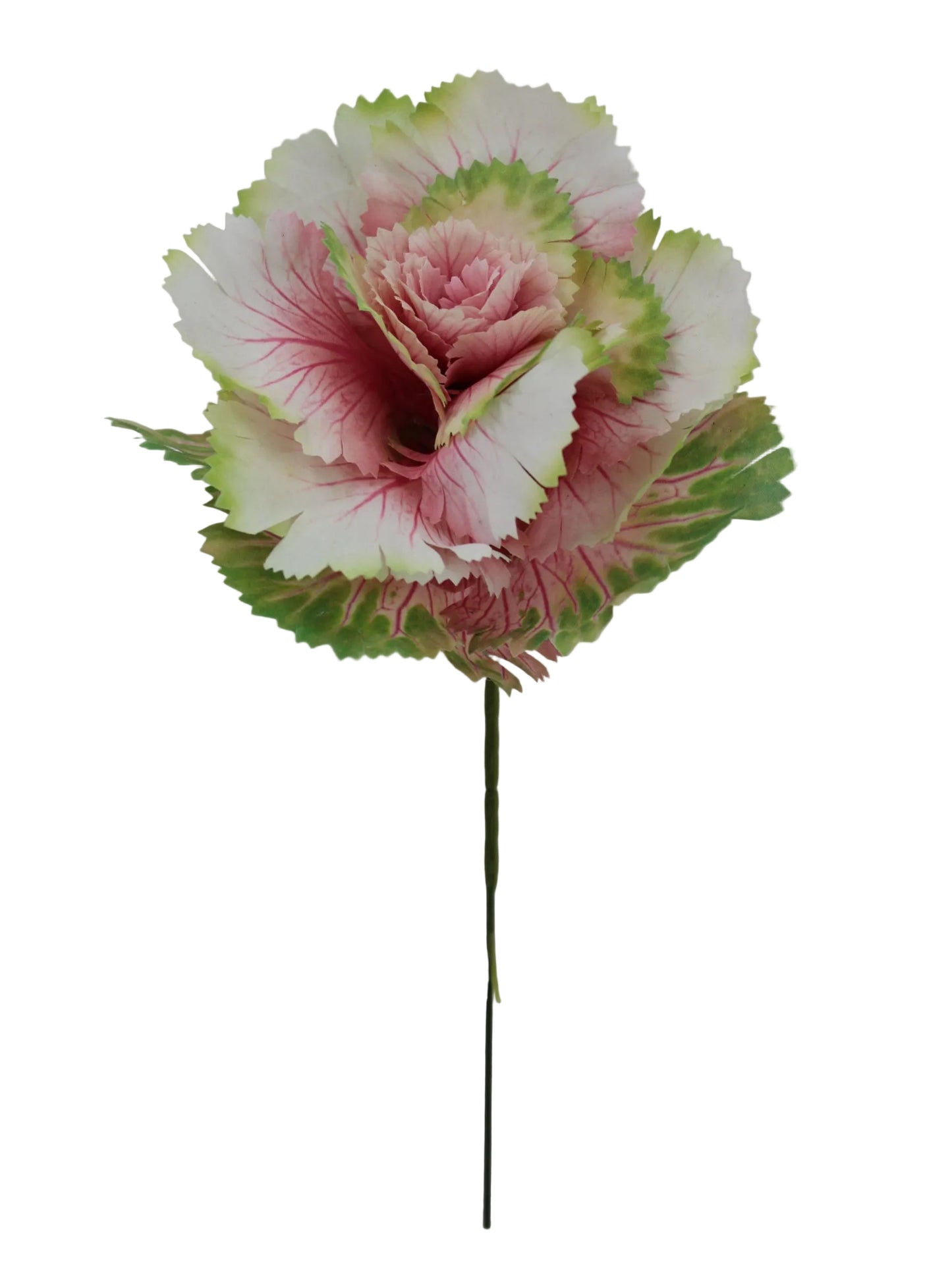 85663-PK | 9" |  CABBAGE PICK | PINK - A&B Wholesale Market Inc