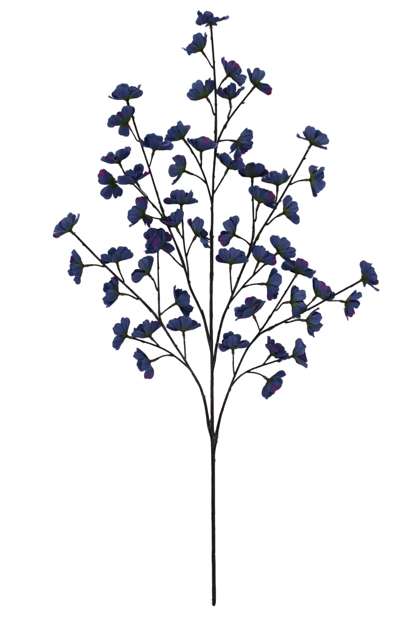 85670-BL | 36" | COSMOS SPRAY X5 | BLUE