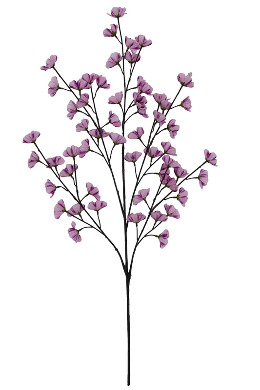 85670-LILAC | 36" | COSMOS SPRAY X5 | LILAC