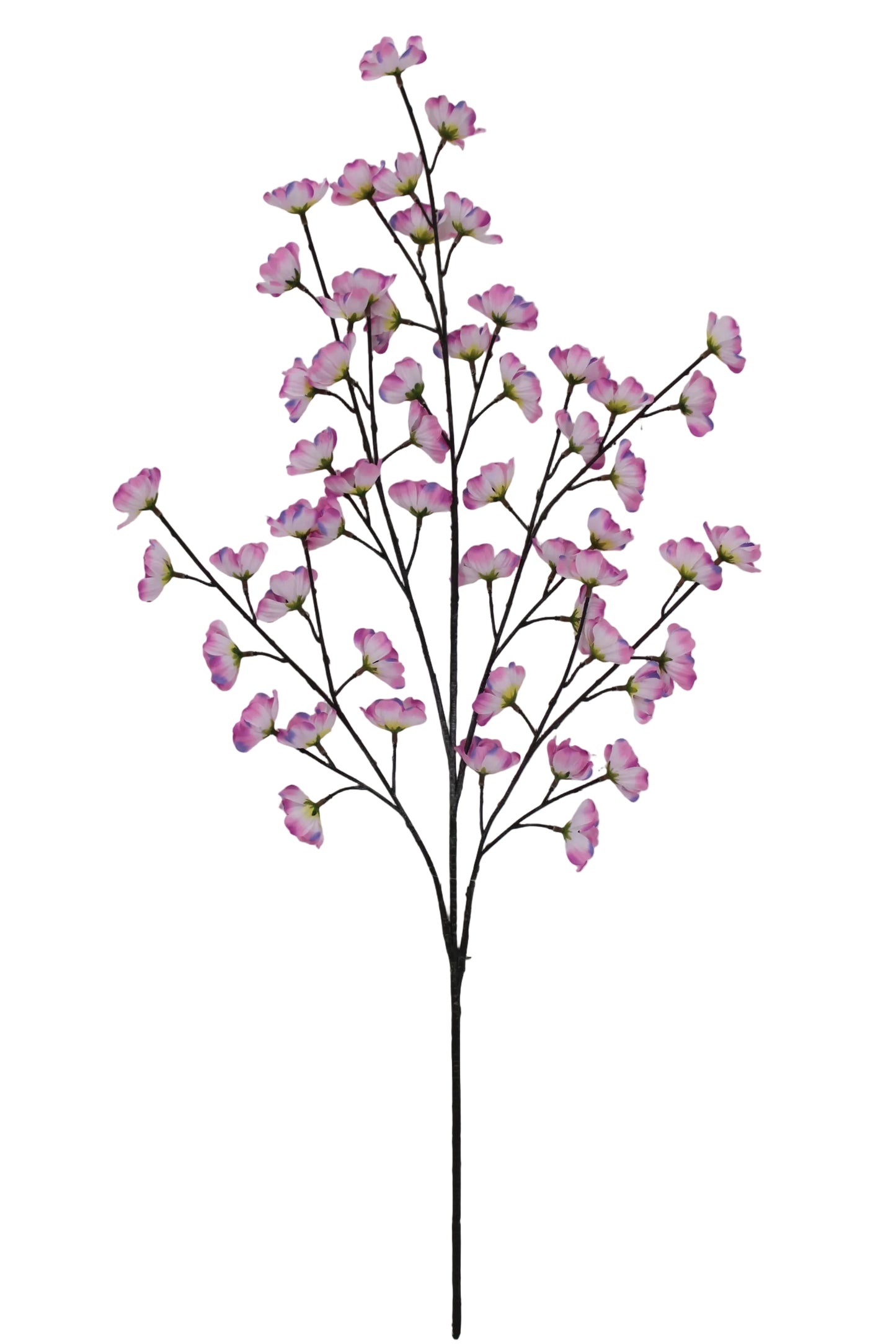 85670-PK | 36" | COSMOS SPRAY X5 | PINK