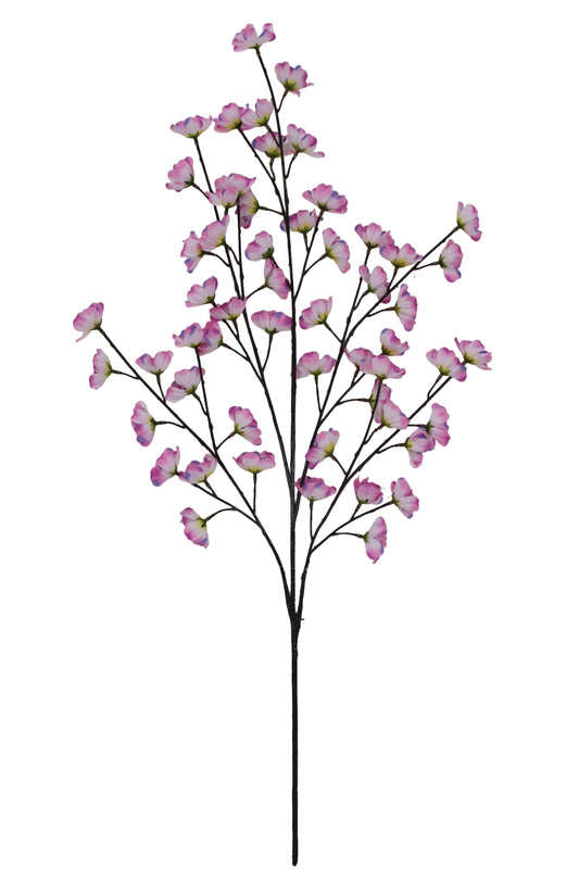 85670-PK | 36" | COSMOS SPRAY X5 | PINK