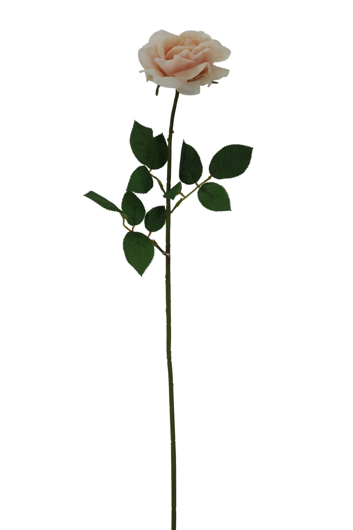 85708-PH | 27.5" | SOFT TOUCH ROSE STEM | PEACH