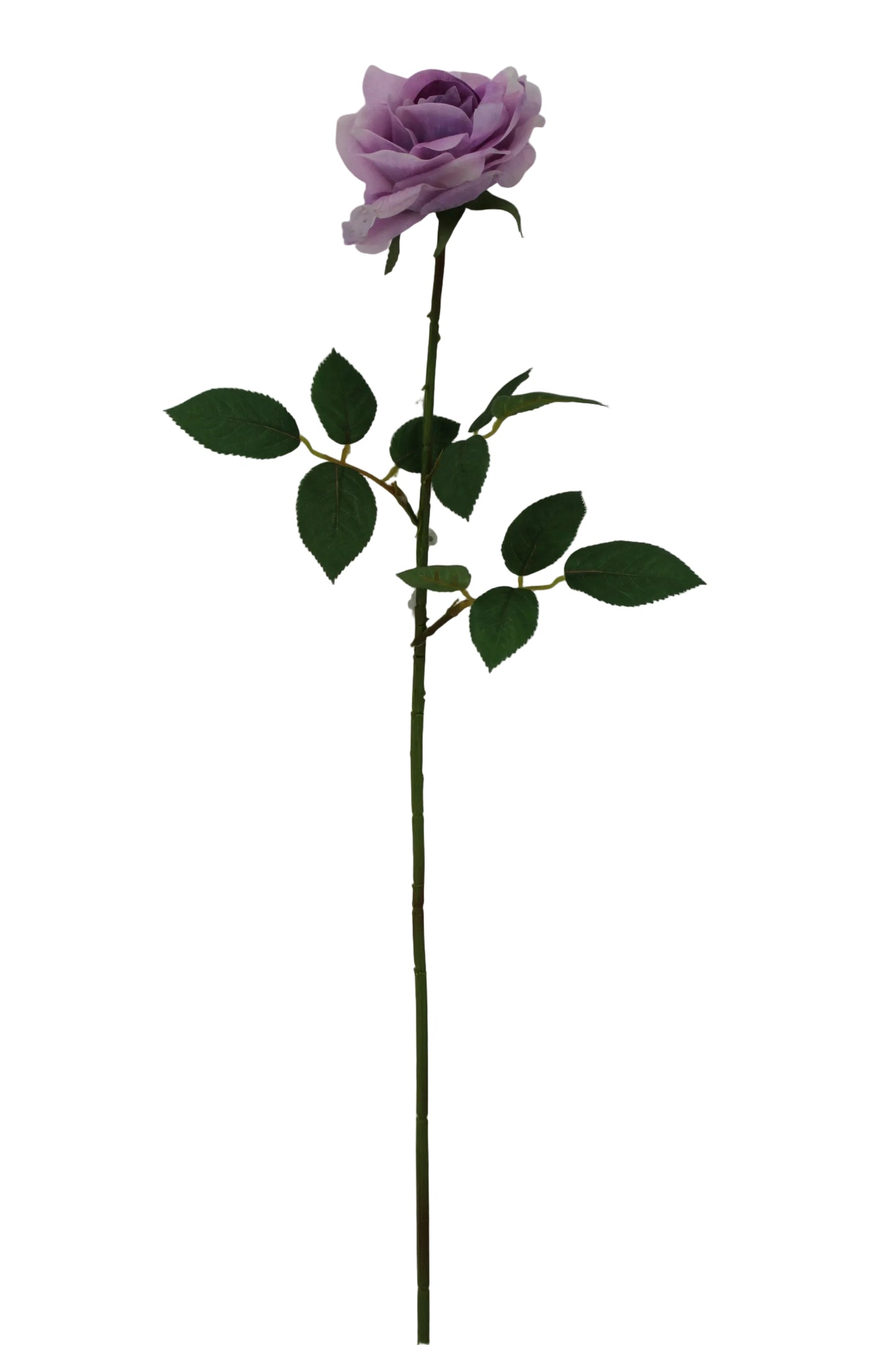 85708-PU | 27.5" | SOFT TOUCH ROSE STEM | PURPLE