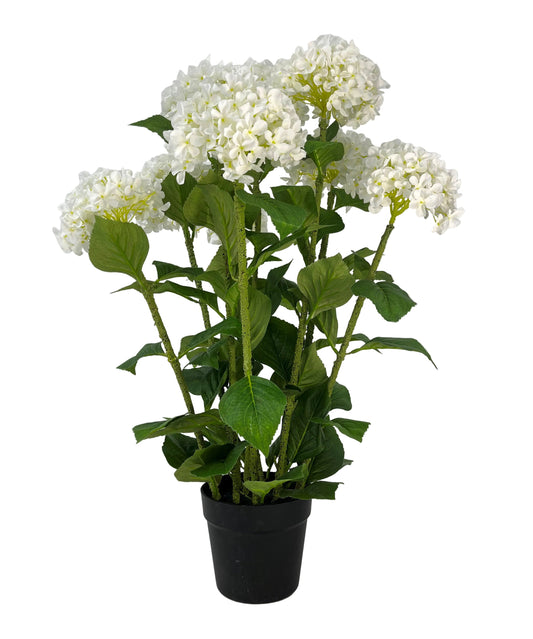 85717-CR | 3FT | HYDRANGEA IN POT  | CREAM - A&B Wholesale Market Inc