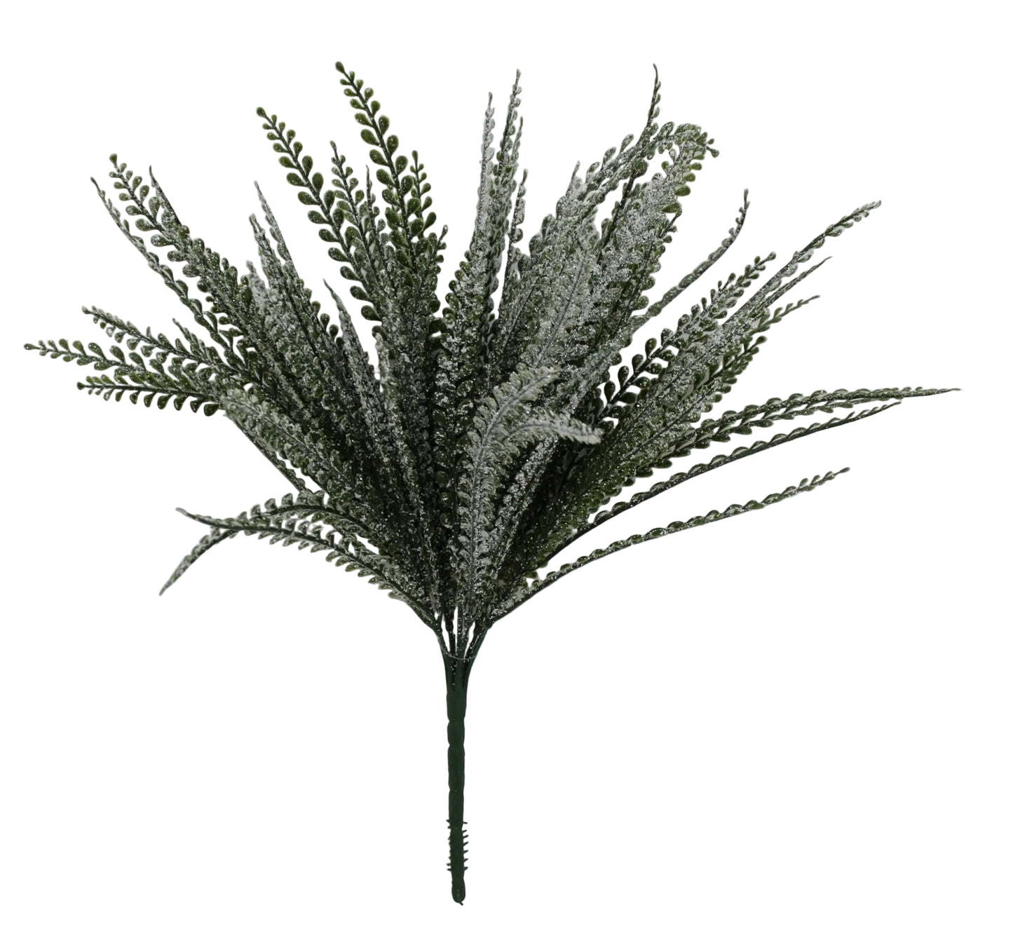 85805 | 19" | FROSTED BUTTON FERN