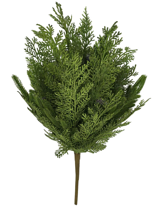 85951 | 22" | CYPRESS NORFOLK BUSH