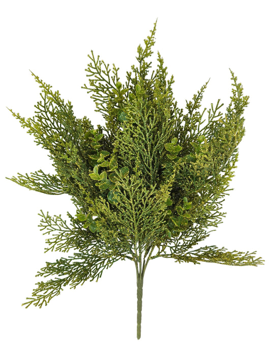85958 | 19" | CYPRESS EUCALYPTUS