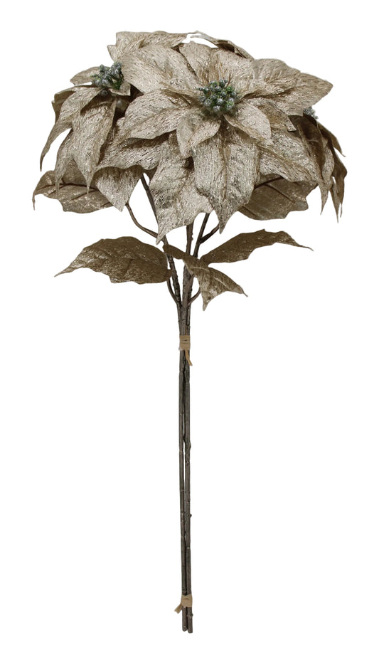 85979-CHAMP | 27" | POINSETTIA BUNDLE X3 | CHAMPAGNE
