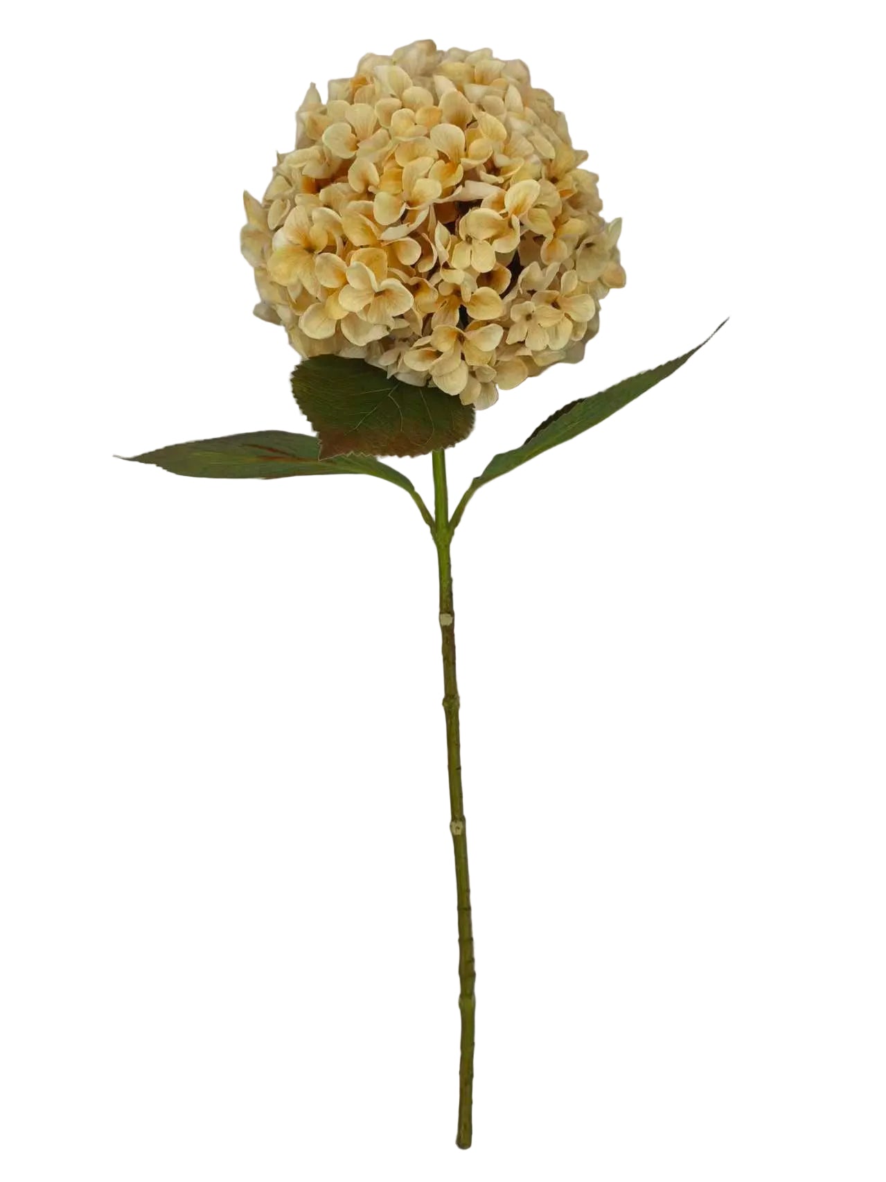 85991-BEIGE | 27" | SINGLE HYDRANGEA SPRAY | BEIGE