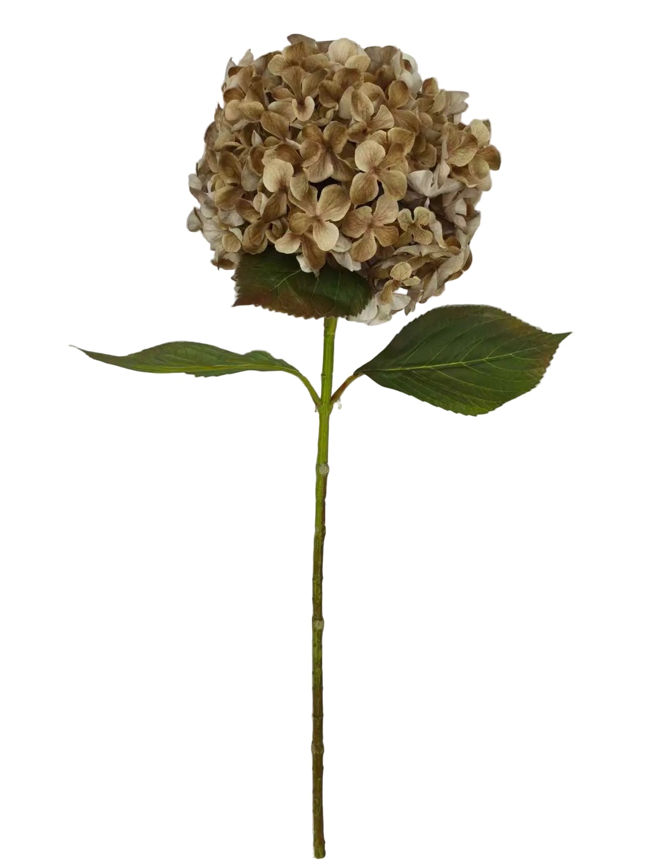 85991-TAUPE | 27" | SINGLE HYDRANGEA SPRAY | TAUPE