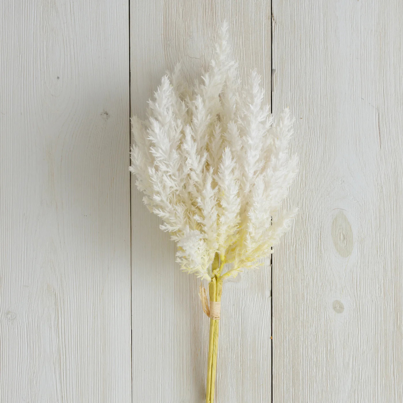 8F7088 Natural Pampas Grass 2/PK - A&B Wholesale Market Inc