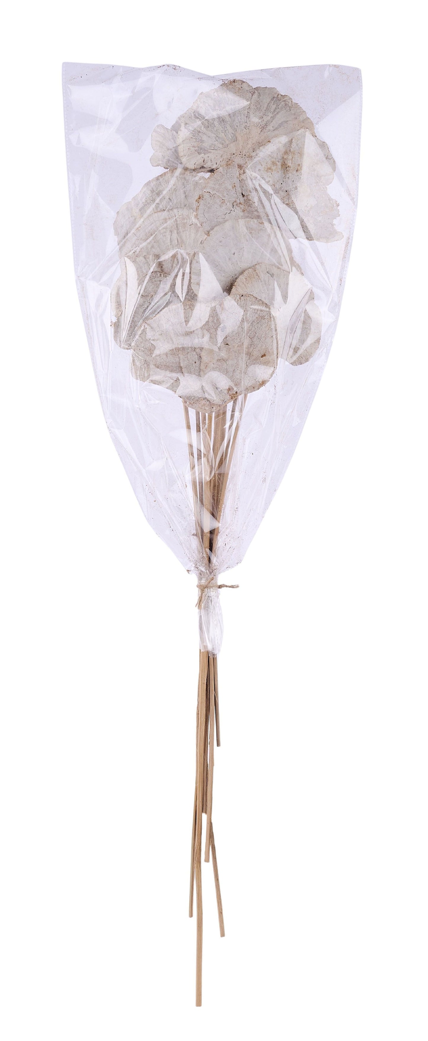 TT317230 | 23.5"L | Sponge Mushroom Twig Bundle x10 | Whitewash