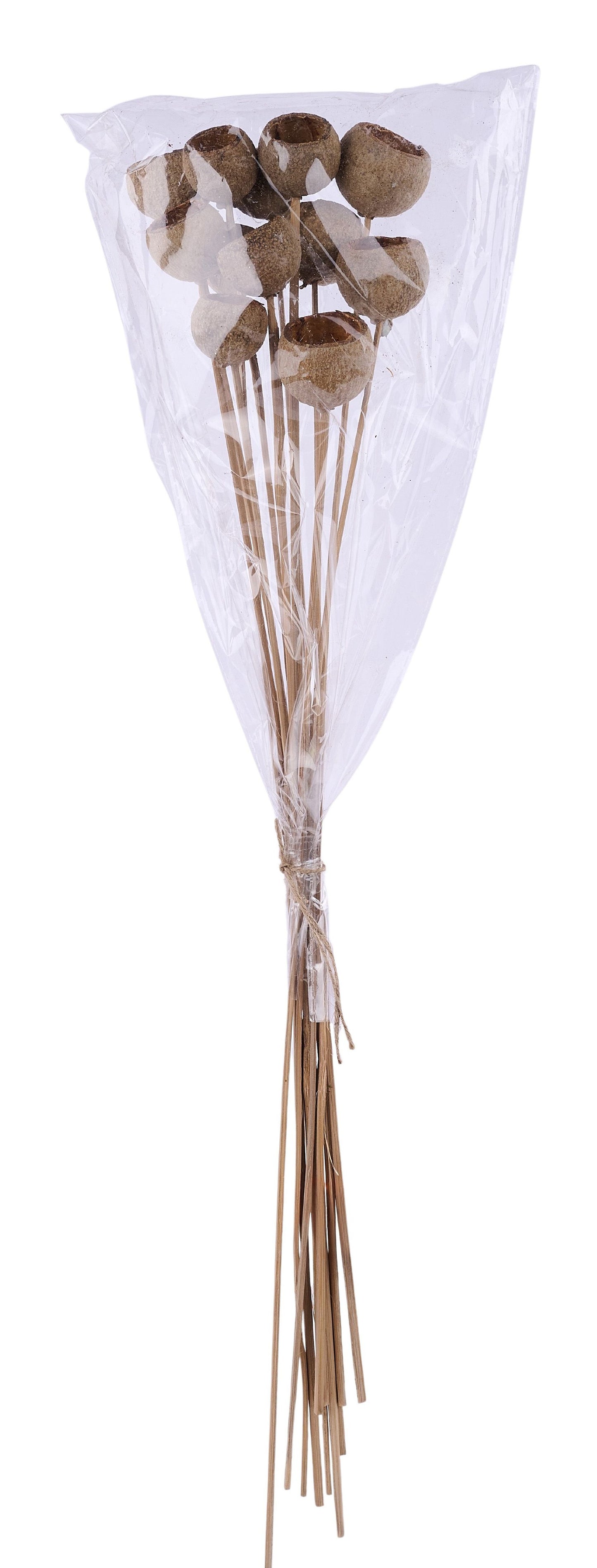 TT3111 | 1"-1.25"L | Pep Cup/Twig Stem Bundle x12 | Natural