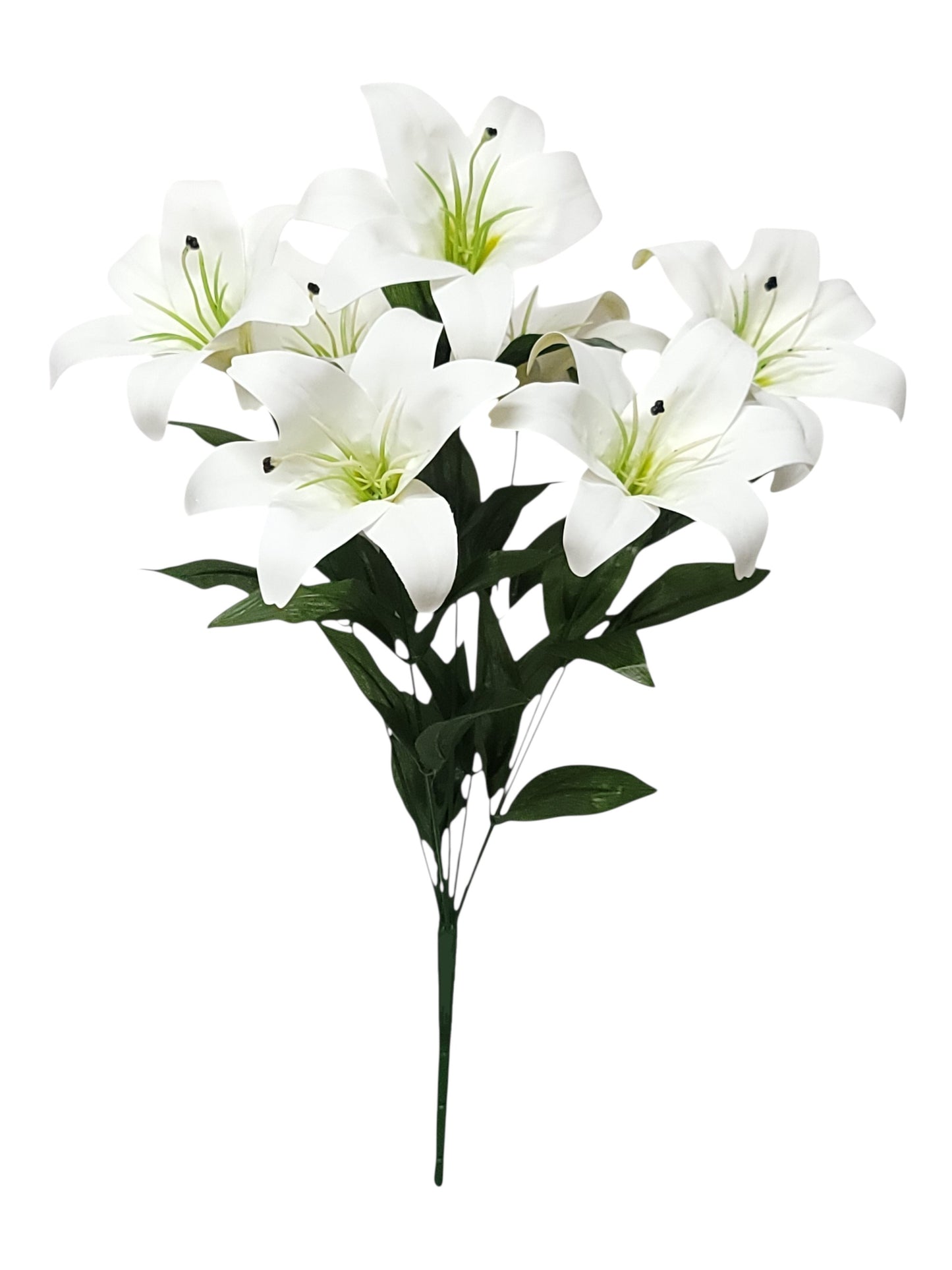 95301 | TIGER LILY X7 | CREAM