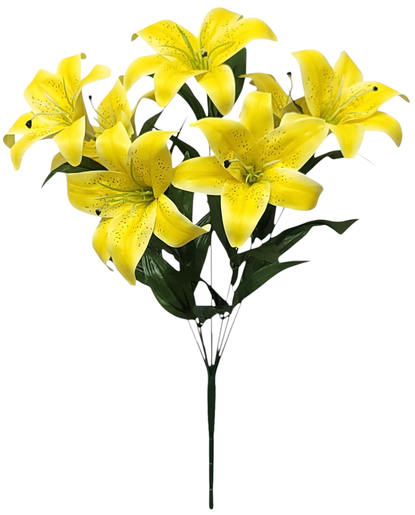 95302 | TIGER LILY X7 | YELLOW