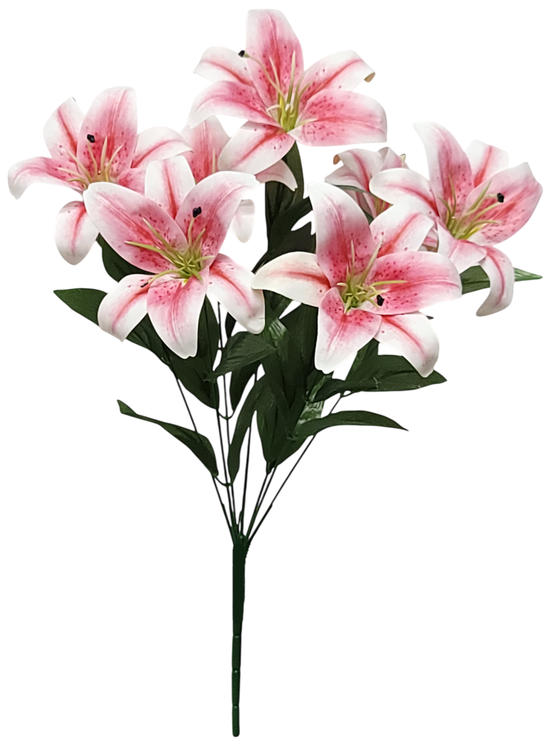 95304 | TIGER LILY X7 | PINK