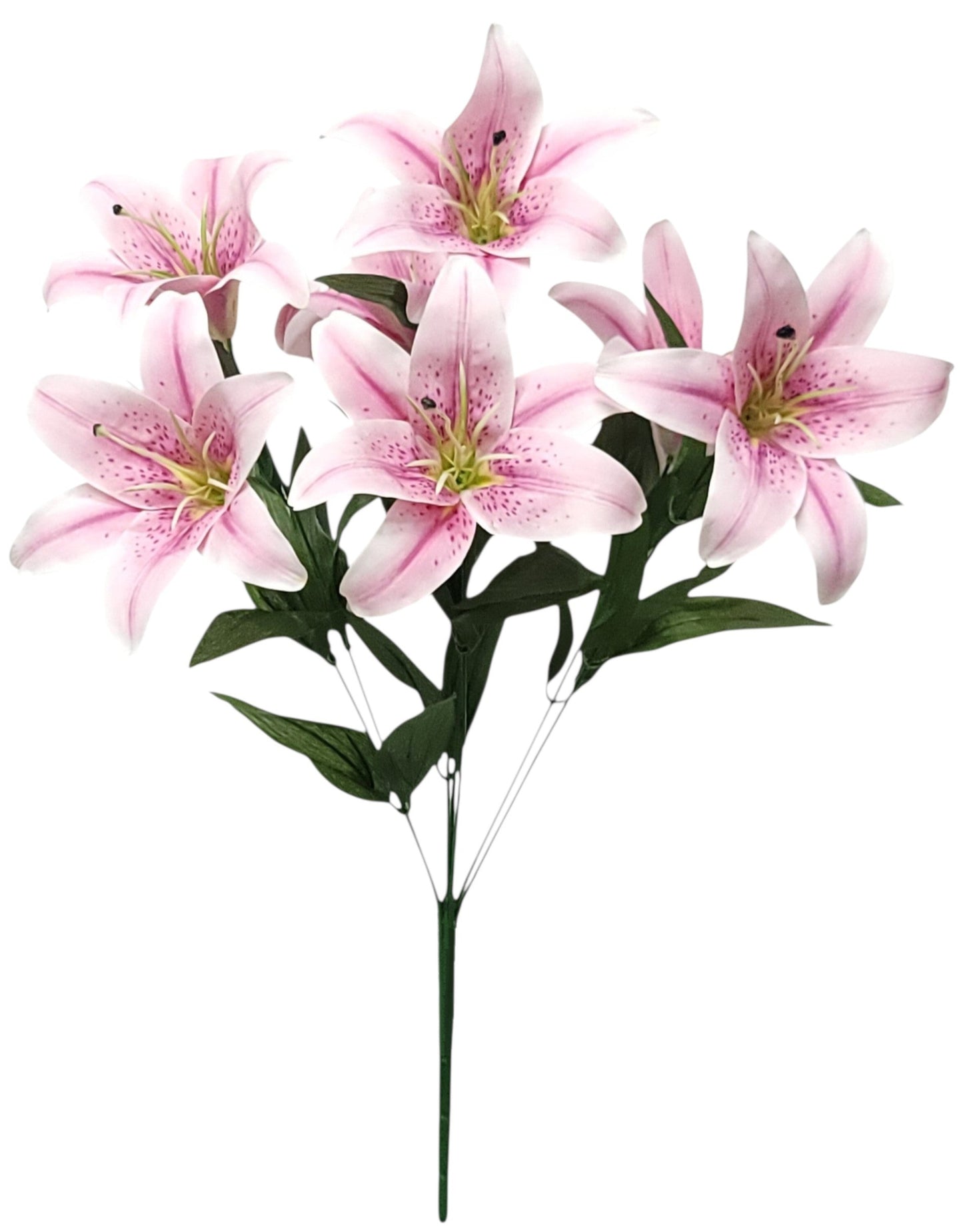 95305 | TIGER LILY X7 | PURPLE