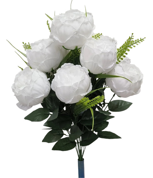 95540 Peony x12 WHITE