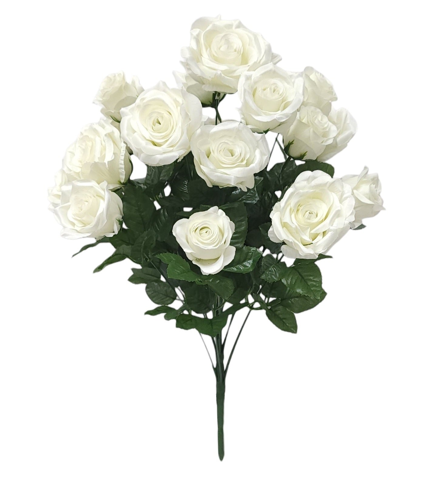 95841 | ROSE/BUD BUSH X18 | CREAM
