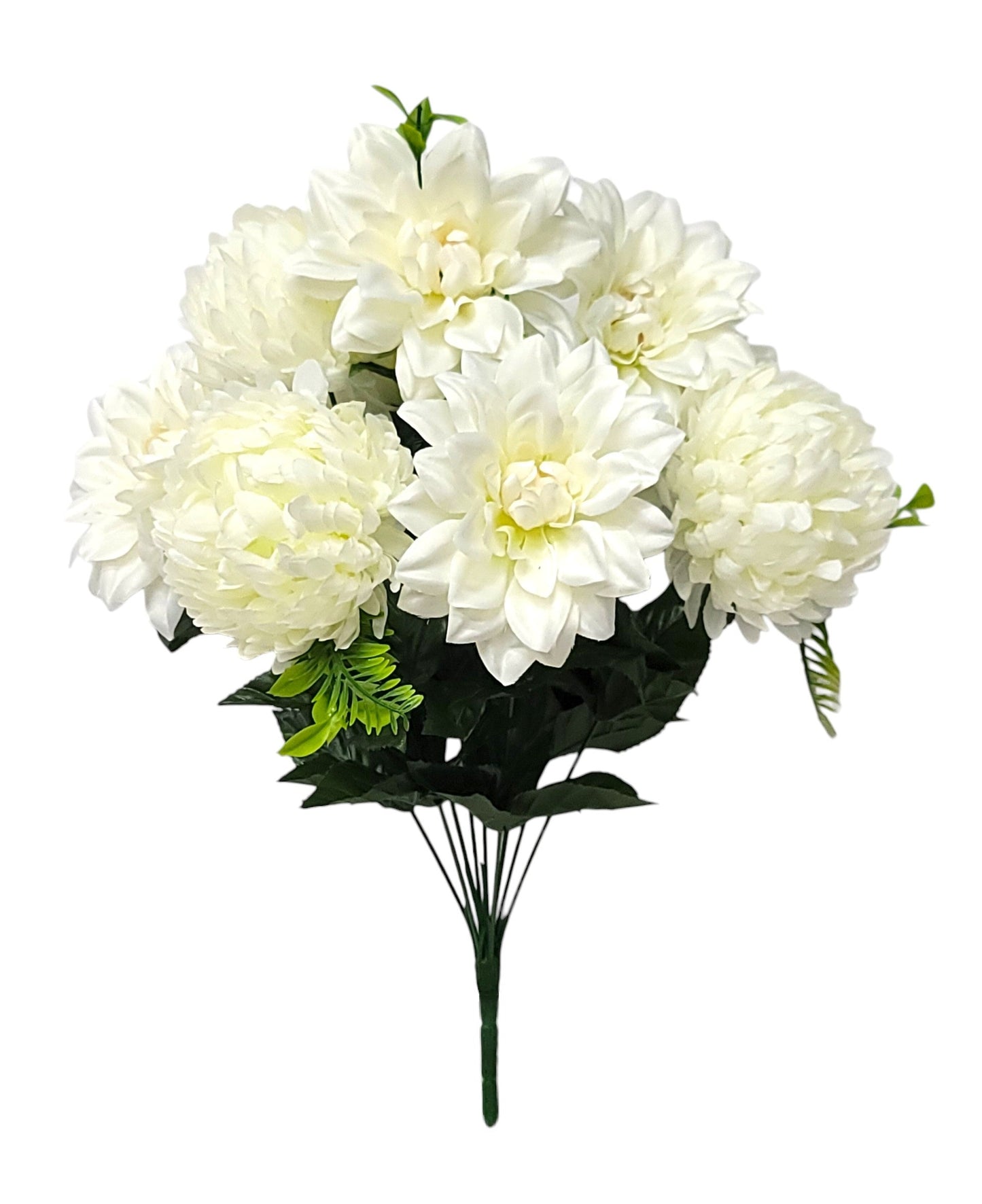 95921 | Dahlia/Mum x9 | Cream