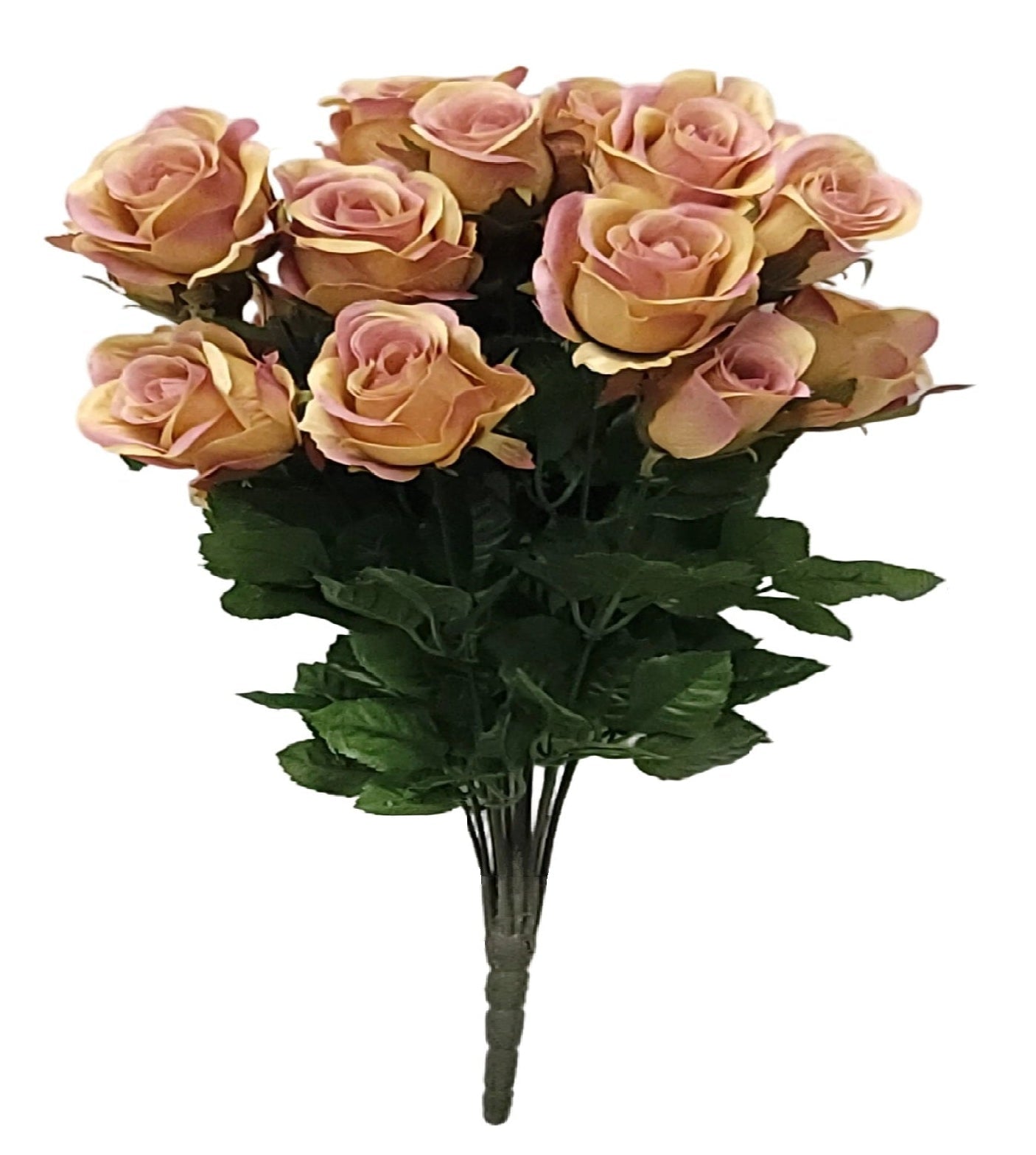 96145 | ROSE BUSH X18 | DUSTY - A&B Wholesale Market Inc
