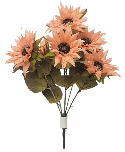 97196 | SUNFLOWER MUM X6 | PEACH