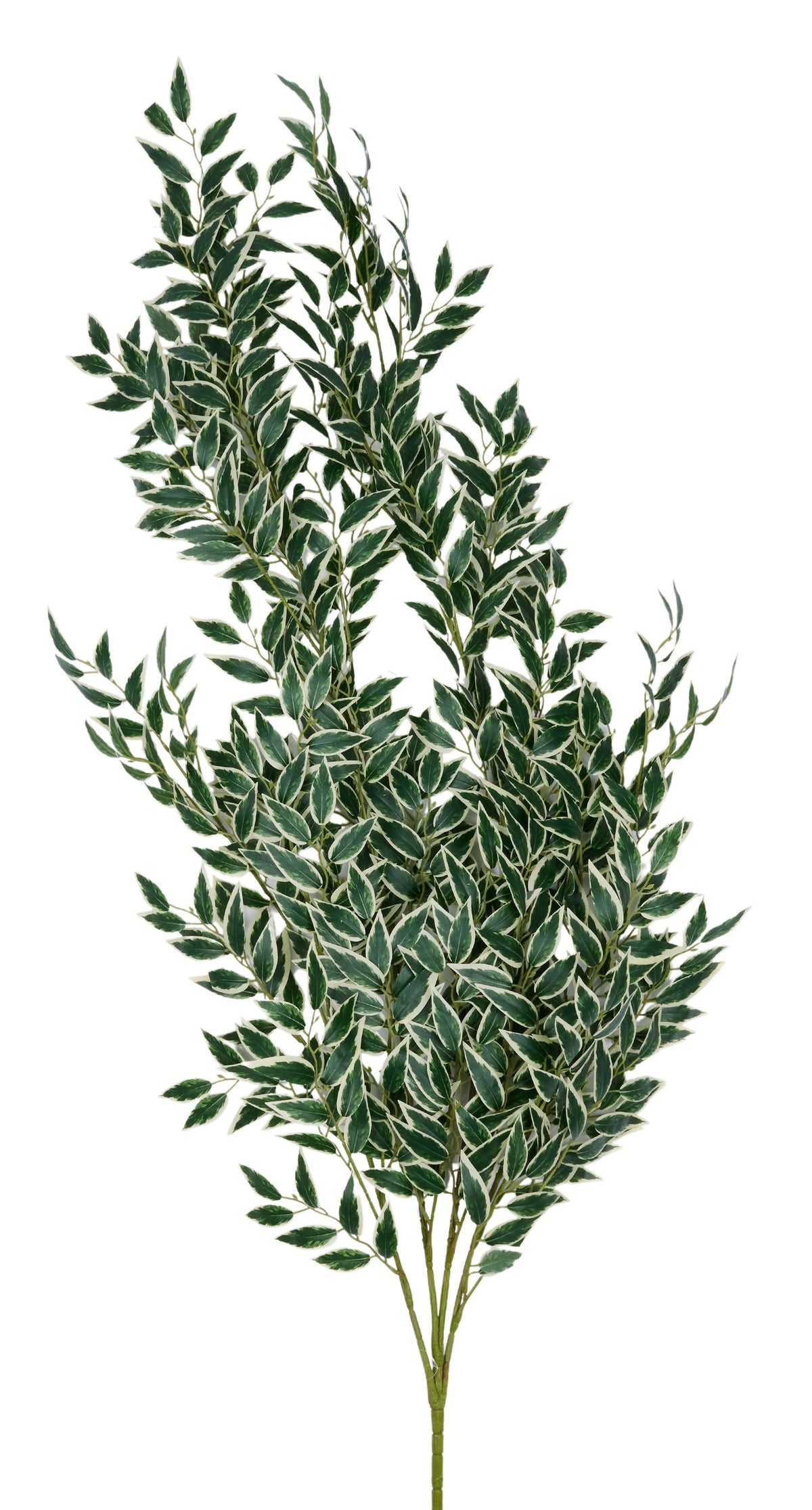 FT183431 | 53"H | Wisteria Leaf Branch | Var. Green/White