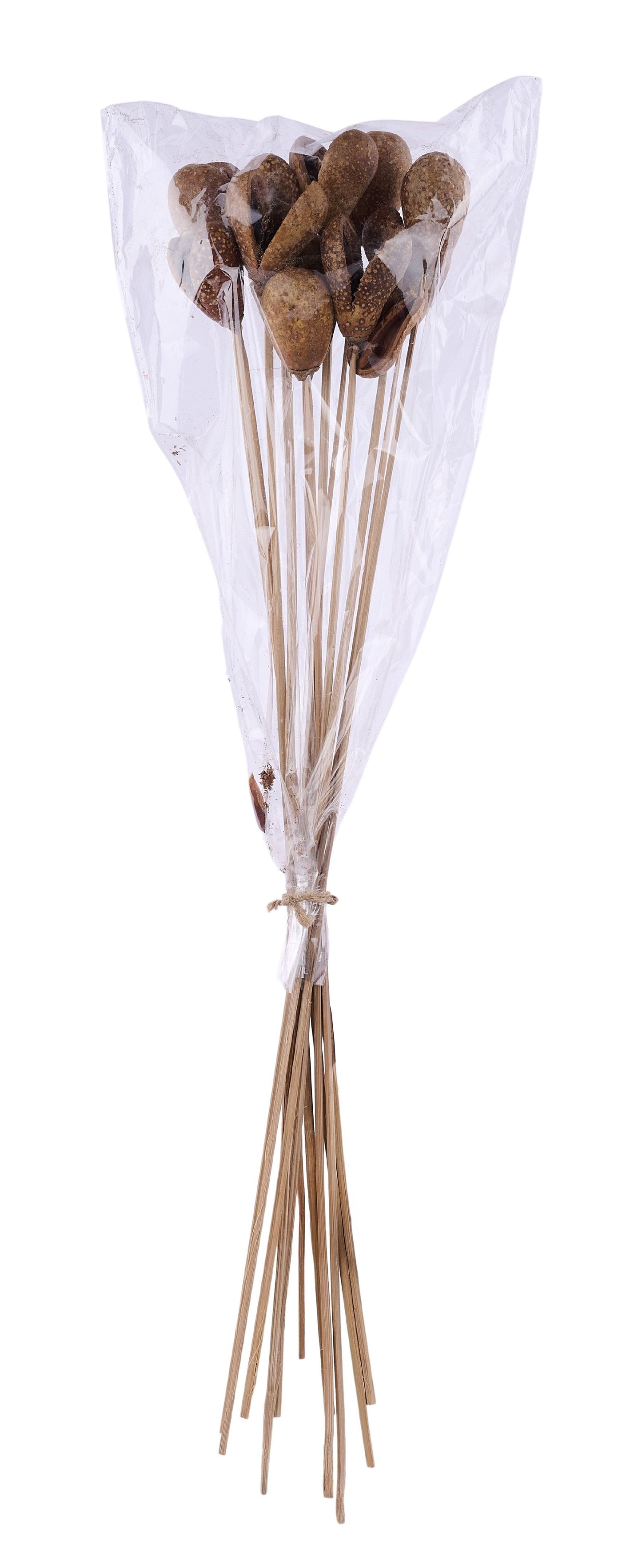 TT3119 | 21"L | Mike Fruit On Bamboo Stem Bundle x12 | Natural