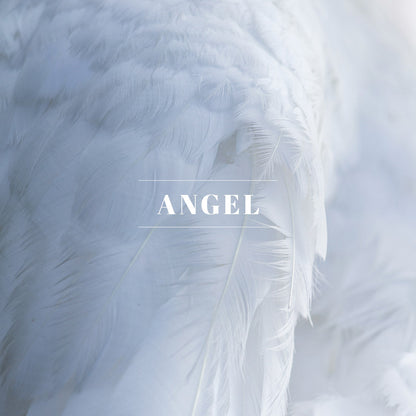 00284 | Luxury Laundry Detergent | Angel | 04oz