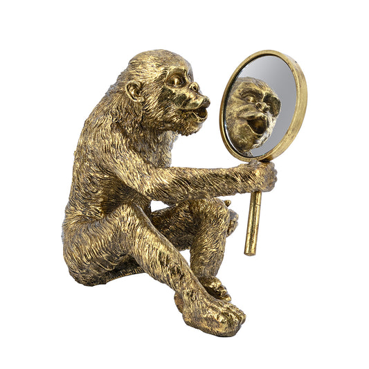 B0057 | Gibbon W/Mirror