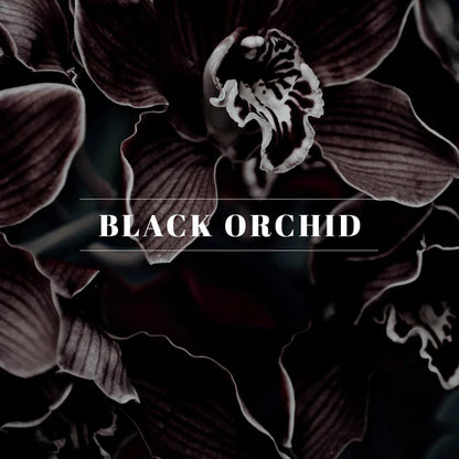 40249 | 1/2oz. Oil | Black Orchid