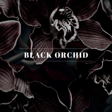 40242  4oz. Spray- Black Orchid