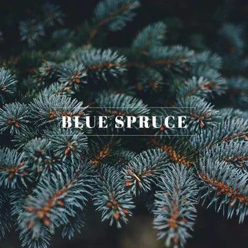 00091 Spray-Blue Spruce 4oz - A&B Wholesale Market Inc