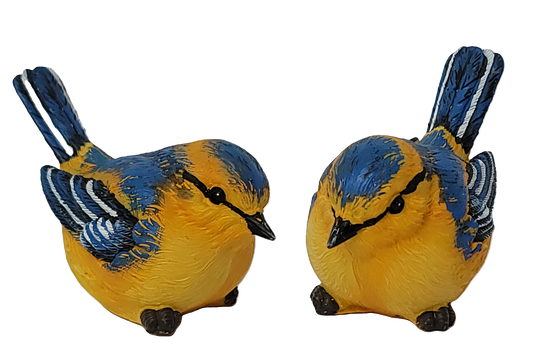 E22286 Large Blue/Yellow Finch Bird (Box of 6)