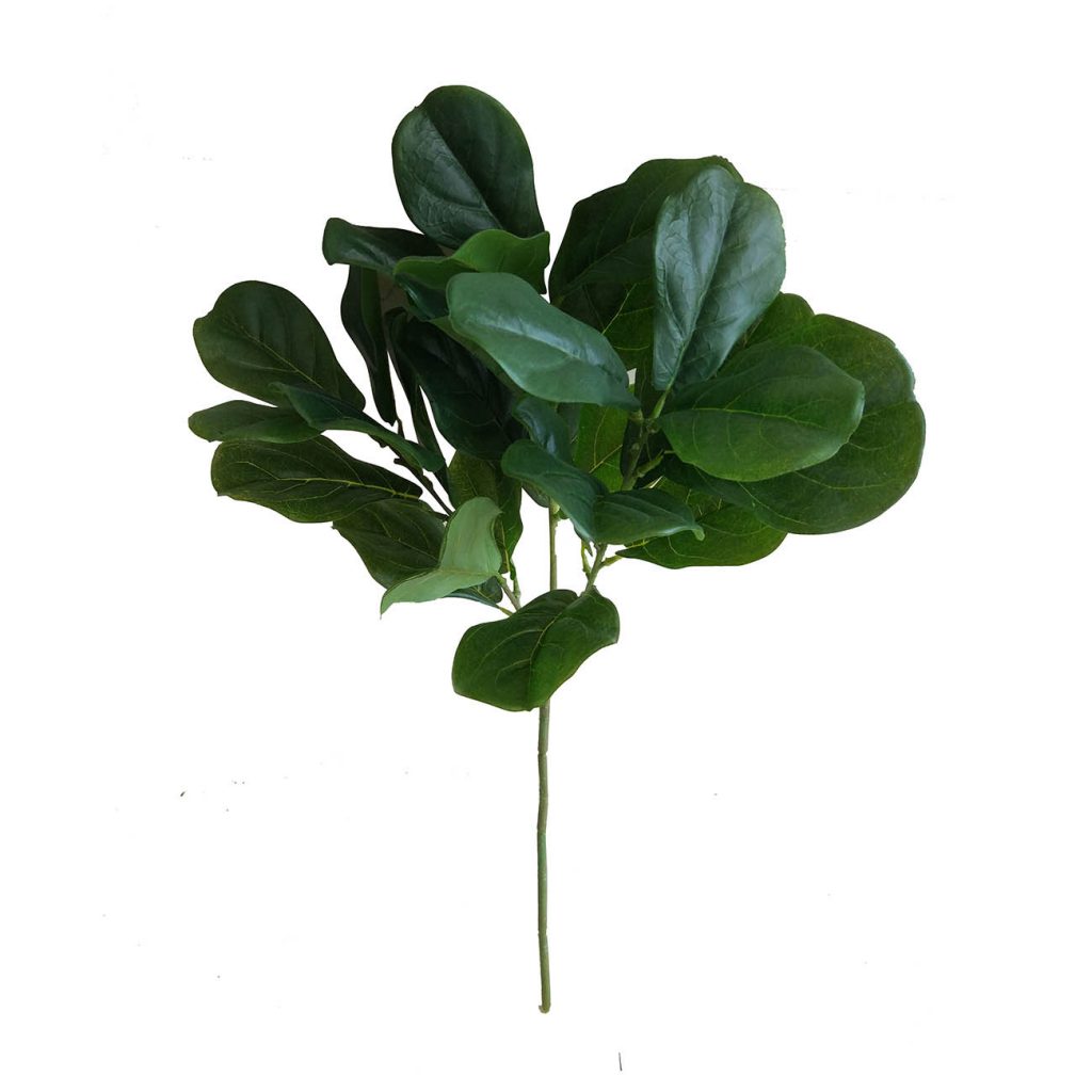 F4535 Fiddle Leaf Branch