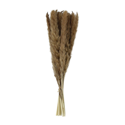 FAQ34228B BROWN FEATHER REED BUNCH - A&B Wholesale Market Inc