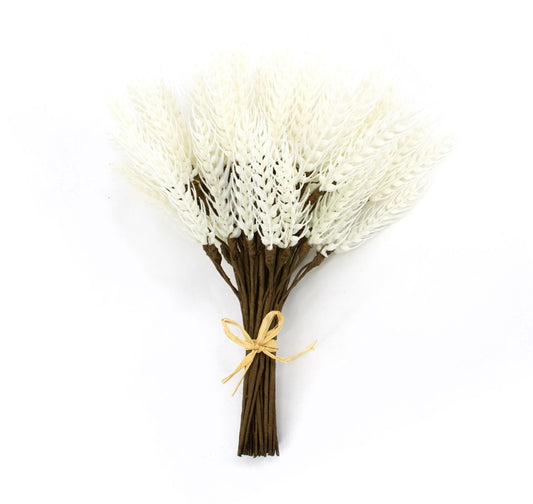  FAQ41738B WHITE WHEAT BUNCH