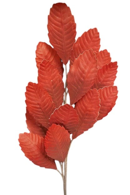 FF2423 44" FADED CRIMSON LEAVES