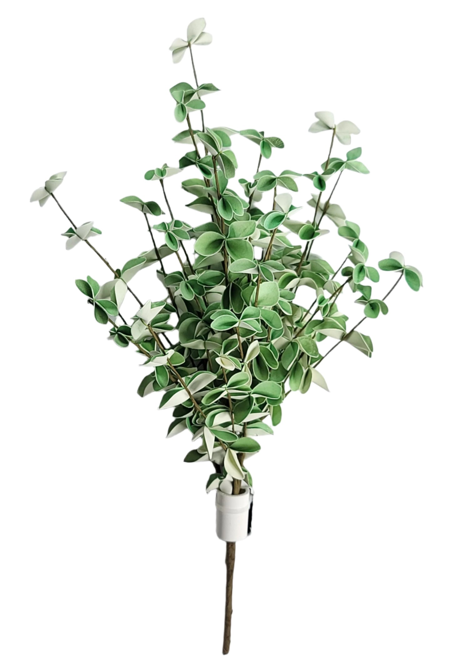 FG539069  23" Eucalyptus Bush