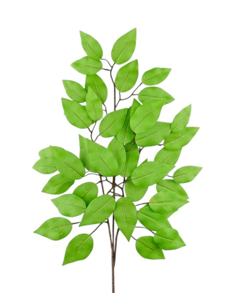 FG633739 | 23"L FICUS SPRAY | LIME GREEN | BUNDLE OF 12