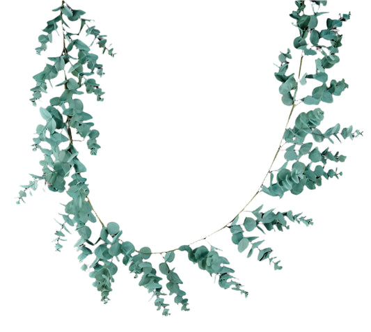 FG637734 6'L SPIRAL EUCALYPTUS GARLAND - A&B Wholesale Market Inc