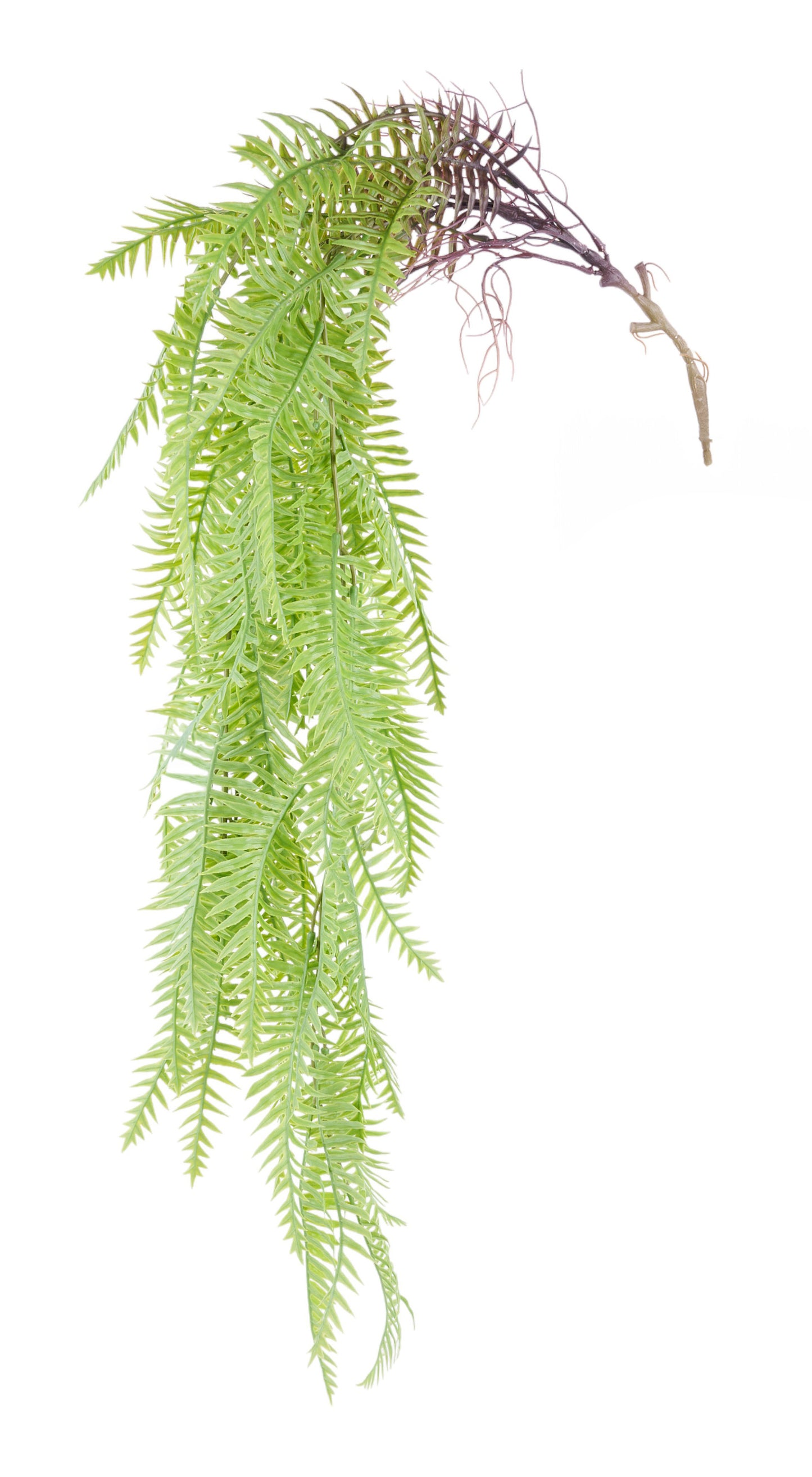 FG662332 | 44"L | Lt. Green | Hanging Fern Bush