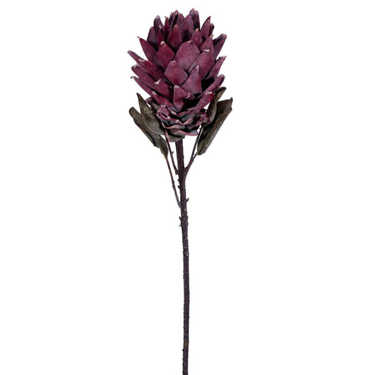 FMA230103 30.5" LIGHT RED DRIED PROTEA STEM 2/BAG - A&B Wholesale Market Inc