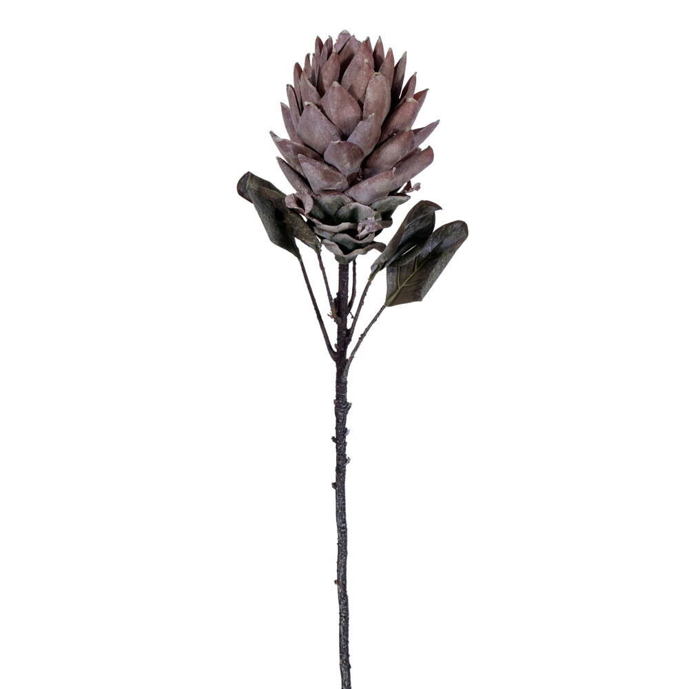 FMA230118 30.5" LT ORANGE DRIED PROTEA STEM 2/bag - A&B Wholesale Market Inc