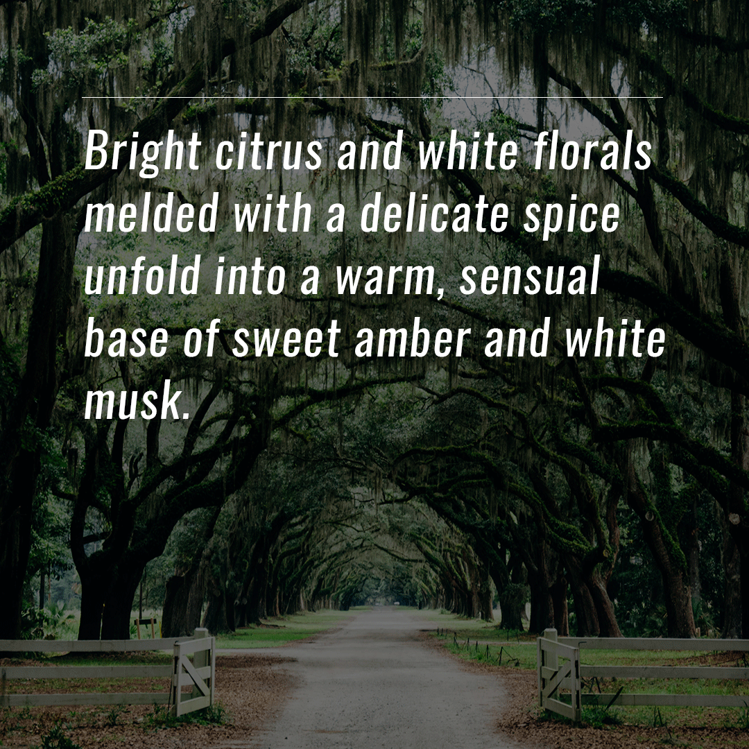 92360 | Luxury laundry Detergent | Garden District | 1Gal.