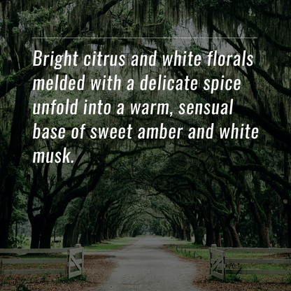 92360 | Luxury laundry Detergent | Garden District | 1Gal.